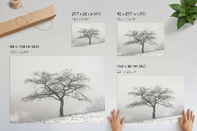 Poster Copac singuratic pace de iarnă minimalism armonie