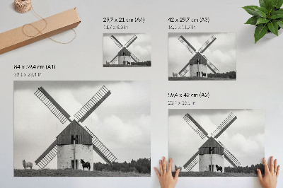 Poster O moară de vânt alb-negru într-un câmp cu cai
