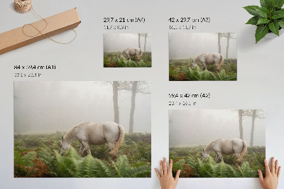 Poster pentru perete Un cal pe un fundal de ferigi într-o pădure învăluită în ceață