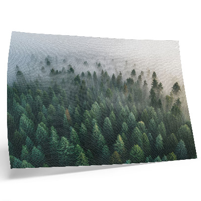 Poster pentru perete Pădure verde în ceață, atmosferică și misterioasă