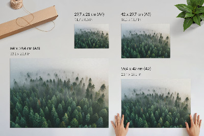 Poster pentru perete Pădure verde în ceață, atmosferică și misterioasă