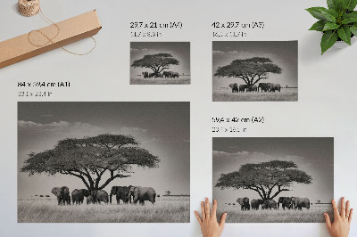 Poster retro Elefanți sub un copac în savana africană
