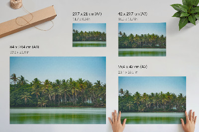 Poster pentru perete Palmieri tropicali, ape calme, cer armonios