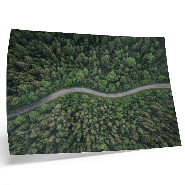 Poster pentru perete Drum șerpuitor de pădure verde, atmosferă liniștită