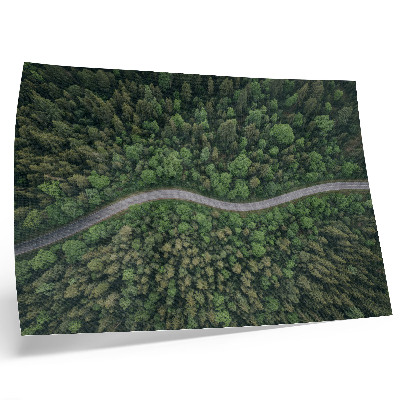 Poster pentru perete Drum șerpuitor de pădure verde, atmosferă liniștită