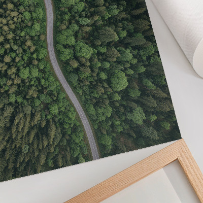 Poster pentru perete Drum șerpuitor de pădure verde, atmosferă liniștită