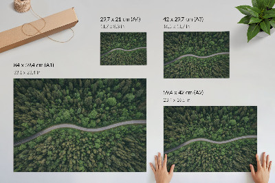 Poster pentru perete Drum șerpuitor de pădure verde, atmosferă liniștită