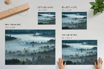 Poster Copaci verzi în ceață, atmosferă liniștită, culori estompate