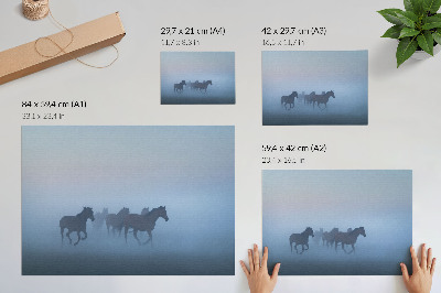 Poster pentru perete Cai în ceață, o compoziție calmantă plină de pace