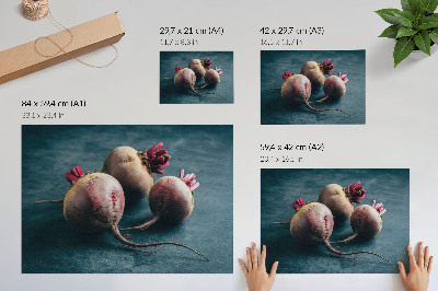 Poster retro Trei sfecle minimaliste, frumusețe brută a naturii