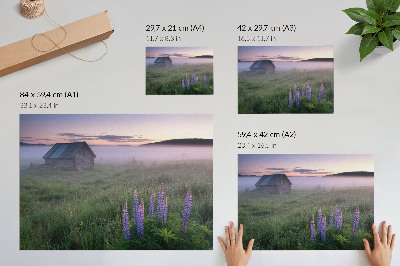 Poster Căsuță din lemn pitorească ceață flori natură