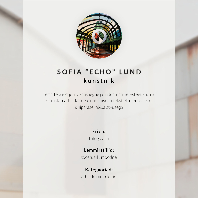 Poster Păsări pe liniile electrice cer albastru