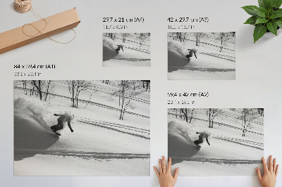 Poster pentru perete Snowboarder în acțiune, copaci de zăpadă, contraste