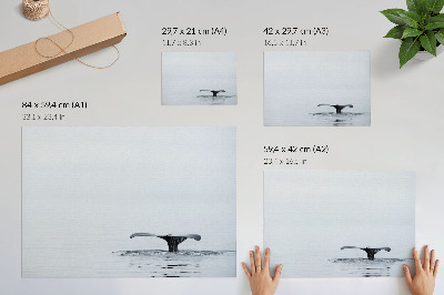 Poster pentru perete Coadă de balenă deasupra armoniei minimalismului apei