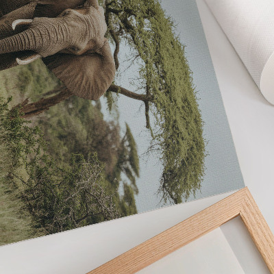Poster pentru perete Un elefant pe fundalul unei savane verzi