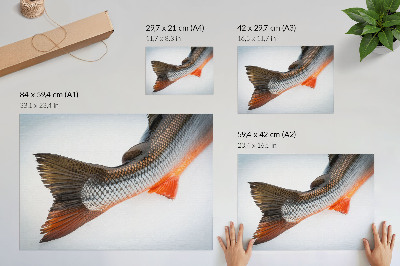 Poster retro Scale naturale și culori dinamice în prim-plan