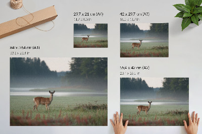 Poster pentru perete Cerbi pe fundalul pajiștilor și pădurilor încețoșate