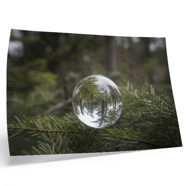 Poster retro Un glob de cristal pe fundalul unei crengi de pin