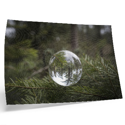 Poster retro Un glob de cristal pe fundalul unei crengi de pin