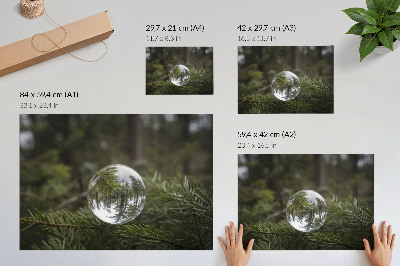 Poster retro Un glob de cristal pe fundalul unei crengi de pin