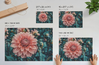 Poster Compoziție modernă cu dalie roz și frunze verzi