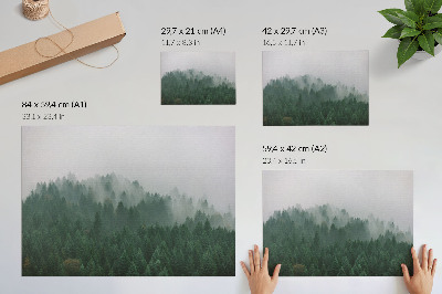 Poster O panoramă cețoasă a pădurii pline de verde și gri