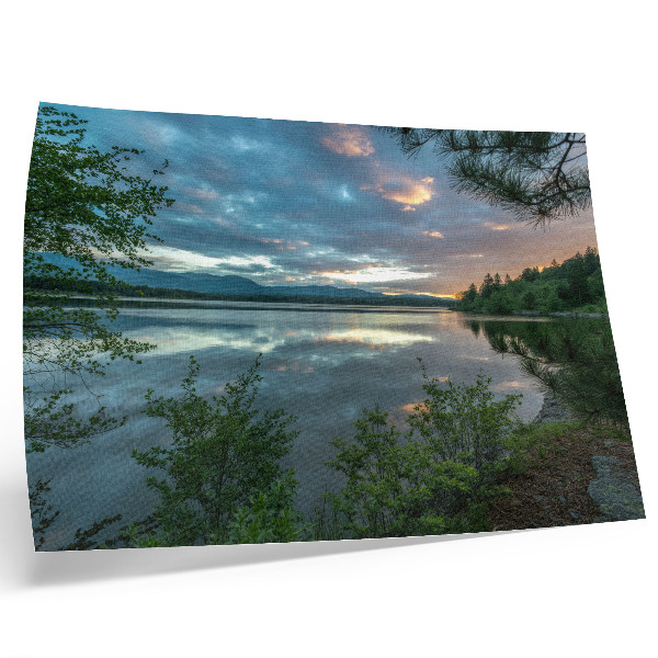 Poster Reflecții lac cer verde copaci calm