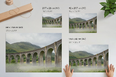 Poster Un pod arc maiestuos printre verdeață