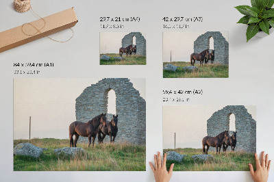 Poster Contrastul dintre ruine și cai în verdeață