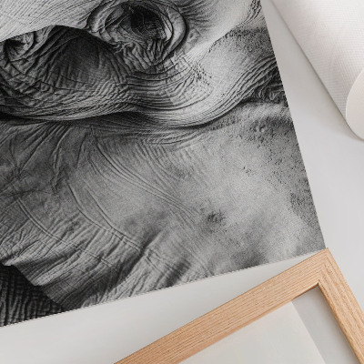 Poster pentru perete Detalii monocrome de elefant, minimalism, eleganță