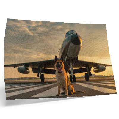 Poster Câine și avion la apus - o priveliște unică