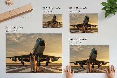 Poster Câine și avion la apus - o priveliște unică