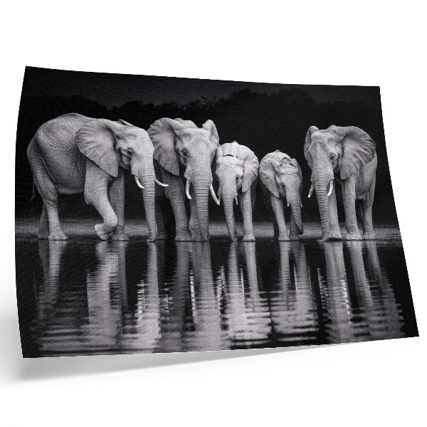 Poster pentru perete Elefanți lângă apă, armonie pașnică și reflecție