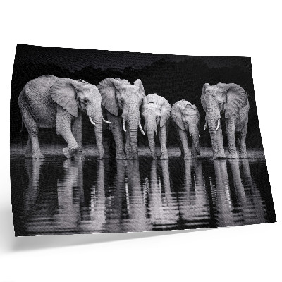 Poster pentru perete Elefanți lângă apă, armonie pașnică și reflecție