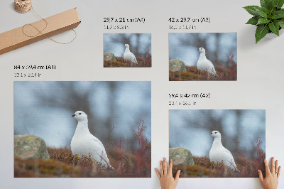 Poster pentru perete O pasăre albă într-un cadru de iarnă