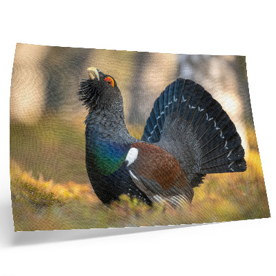 Poster retro Pasăre frumoasă în pădure, coadă răspândită, culoare