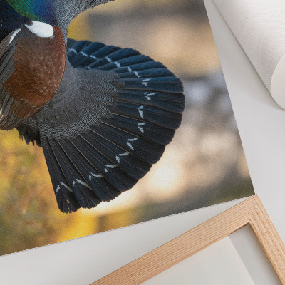 Poster retro Pasăre frumoasă în pădure, coadă răspândită, culoare