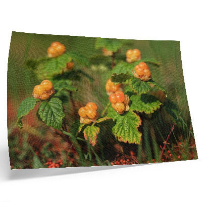 Poster Frunze verzi, fructe portocalii, farmec natural