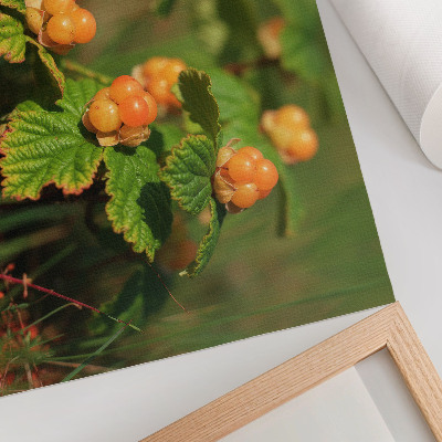 Poster Frunze verzi, fructe portocalii, farmec natural