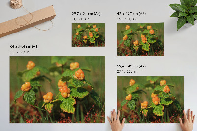 Poster Frunze verzi, fructe portocalii, farmec natural