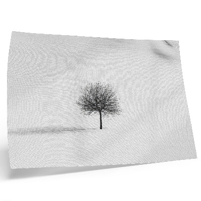 Poster Motiv armonios al peisajului minimalist al copacilor de iarnă