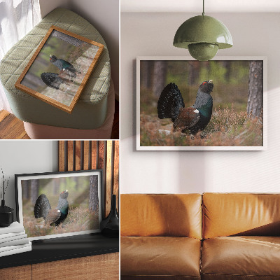 Poster pentru perete Culorile păsărilor pădure natură atmosferă liniștită