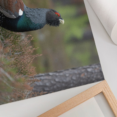 Poster pentru perete Culorile păsărilor pădure natură atmosferă liniștită