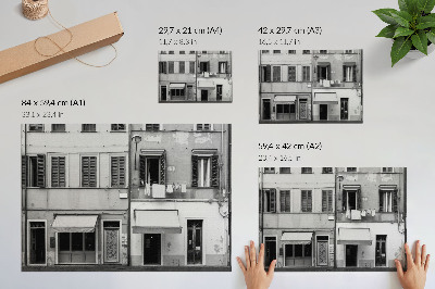 Poster retro Fațada casei de locuit, contrastul alb-negru, minimalismul