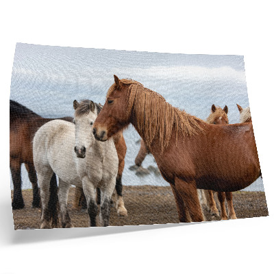 Poster pentru perete Frumusețea naturală a cailor pe fundalul peisajului