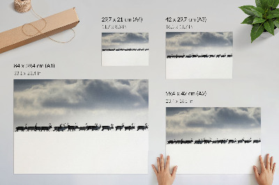 Poster pentru perete Reni în zăpadă, liniște și spațiu