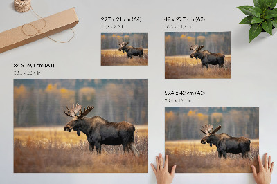 Poster Elan peisaj de toamnă armonie sălbăticie natură