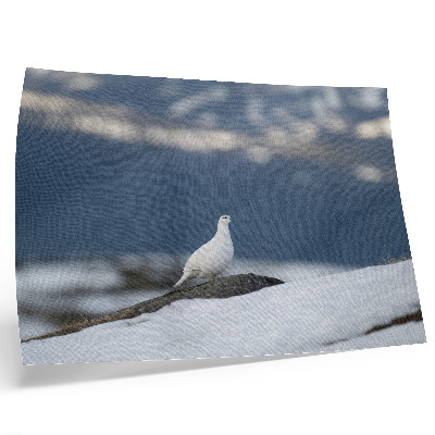 Poster Pasăre în zăpadă, peisaj de iarnă, blândețe