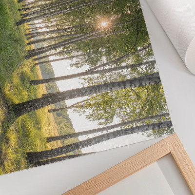Poster Razele soarelui din pădurea de mesteacăn, simetrie verde