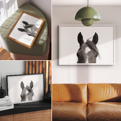 Poster pentru perete Fotografie alb-negru a eleganței unui cal